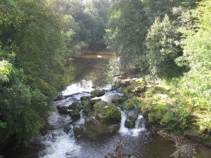 River Derwent - September 2010
