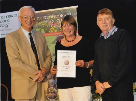 NiB presentation 2014