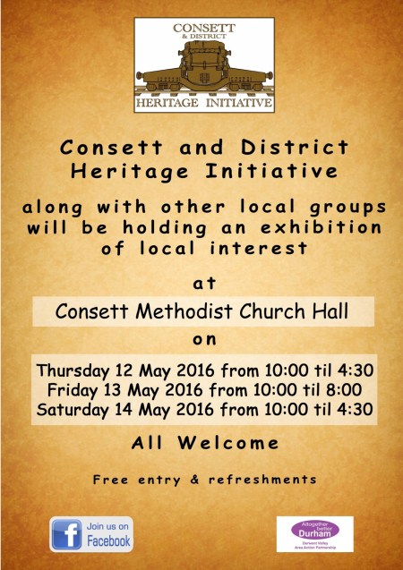 CDHI Poster May 2016